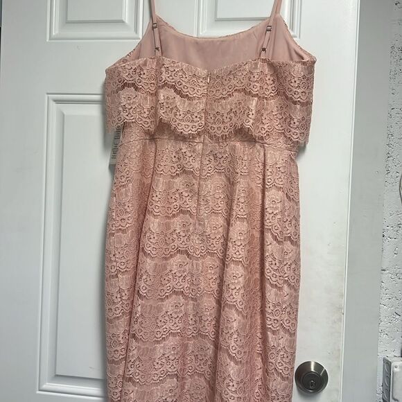 Pink Lace Dress - Brand New - Beautiful Spaghetti Strap - Size 8 Dress - NEW - Picture 5 of 6